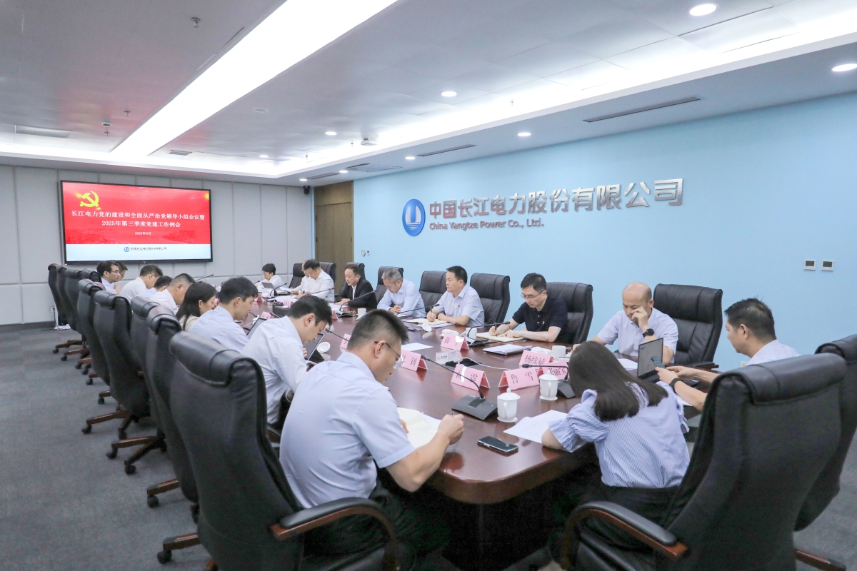 365英国上市公司党委召开党的建设和全面从严治党领导小组会议